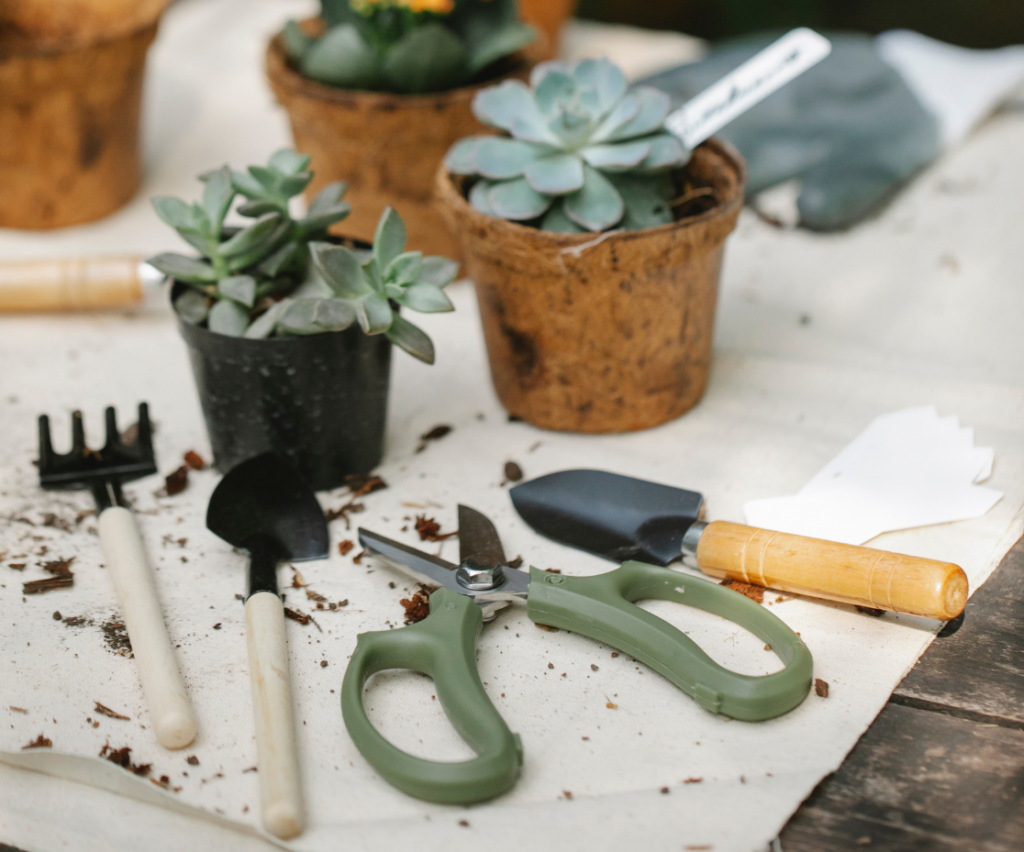 ferramentas de jardinagem como rastelo e tesoura em cima de uma mesa. Há ainda vasos com plantas suculentas